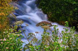 Deschutes River-1375